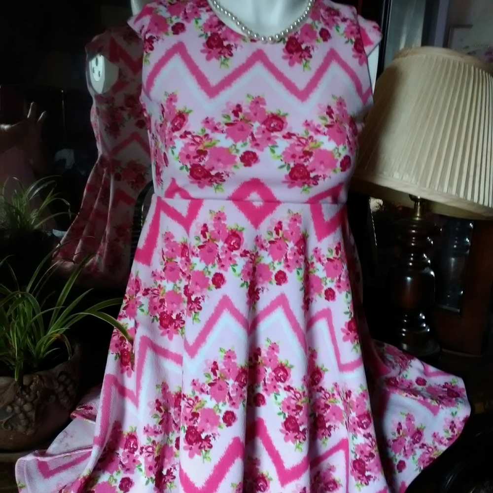 Pinky size 12  Junior dress Beautiful Rose dress.